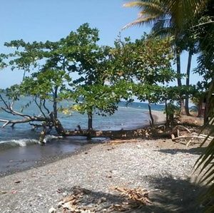 Meet your Posher, Kerine